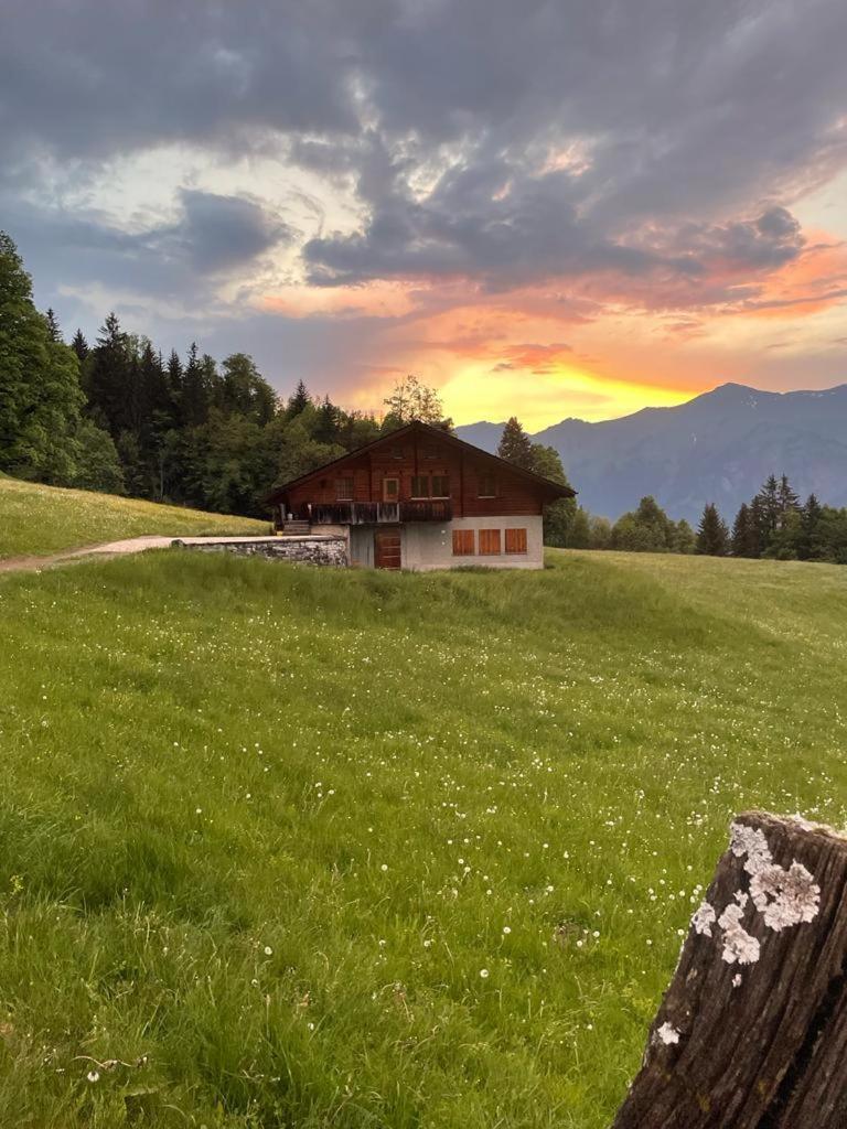 Chalet Mit Alpenambiente Axalp Brienz  Dış mekan fotoğraf